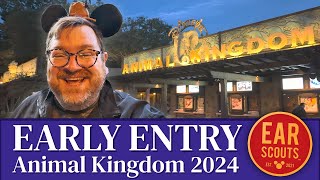 2024 Early Entry Guide to Animal Kingdom at Walt Disney World [upl. by Atniuq]