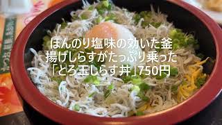 【回ってない回転寿司】671 ネタは良いけど、少々高値な設定。。丼でお腹を満腹にする作戦で『とろ玉しらす丼』（すし銚子丸立川） [upl. by Wagshul]