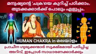 Human Chakras in Body Beginners Guide  മനുഷ്യന്റെ ചക്രകൾ  Manasinte Rahasyangal [upl. by Yendor921]