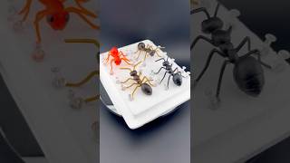 Electroforming Ant With Crystal Stone Stomach Replica Ant Copper Electroformed Crystal [upl. by Namaj553]