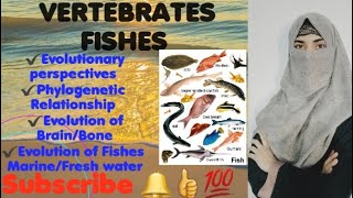 THE FISHES Evolutionary PerspectivesPhylogenetic RelationshipsEvolution of BrainBone Survey [upl. by Ffilc]