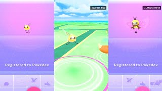 Pokemon Go Cutiefly Catch amp Ribombee Evolution  Spring Event [upl. by Ecineg]