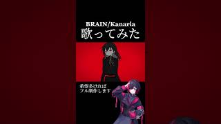 「BRAINKanaria」 歌ってみた brain kanaria mixAmo様 [upl. by Esoj]