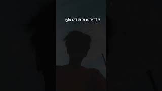 Srotoshini Lyrics Lofi 🖤🦋  ENCORE  Lyrics  স্রোতস্বিনী ✨ fypシ lyrics music hitsong [upl. by Aibsel]