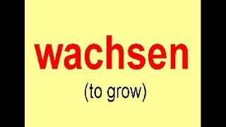 Irregular Verb of The Day quotwachsenquot to grow [upl. by Pacificia]