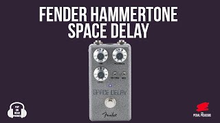 FENDER HAMMERTONE SPACE DELAY [upl. by Eizus]