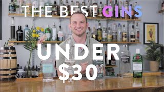 The Best Gin Brands Under 30 [upl. by Osbourn134]