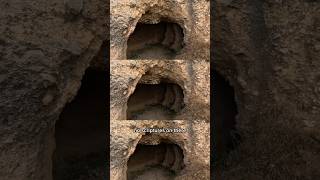 WOAH 3000 YEAR OLD PHOENICIAN TOMB lebanontourism lebanon [upl. by Chong]