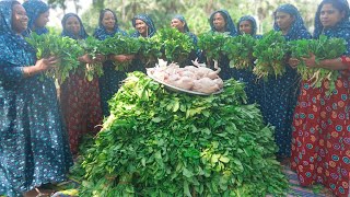 Radish Leaves amp Chicken Gravy Recipe  Mular Shak with Chicken Ghonto  Delicious Village Food [upl. by Arleta669]