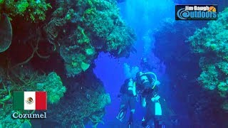 Palancar Coral Reef Canyons and Tunnels in Cozumel Mexico 2018 with Ben Baugh Jim Baugh OutdoorsTV [upl. by Draneb]