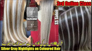 3rd Live Class by SS Salon Silver Highlights and 91 Very Light Ash Blonde Silver Gray Hair Colour [upl. by Studner]