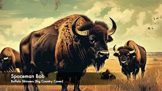 Buffalo Skinners Spaceman Bob Big Country Cover [upl. by Audun771]