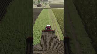 Plowing  Farming Simulator 25 [upl. by Elfstan]