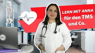 TMS  Der Medizinertest  Lern mit Anna 2024 tms medizin medizinstudium lernen [upl. by Hendrika522]