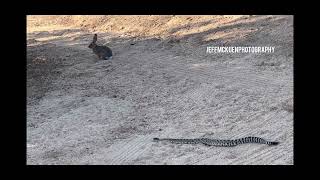 Vasquez Rocks 71324 [upl. by Philemol294]