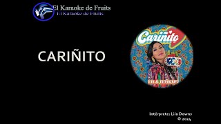 Lila Downs Cariñito karaoke [upl. by Dowzall]