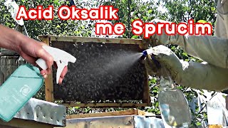 🔴Episodi 39 Trajtimi veror me Acid Oksalik kundër varroas [upl. by Niatsirk]