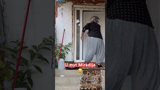 U myt Miradija baskia funny comedyshorts humor comedyvideos comedy shortvideos funnyhumor [upl. by Ardnoed]