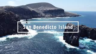 Socorro Part II Diving San Benedicto Island [upl. by Maurili]