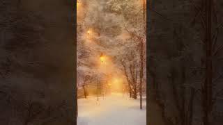 Christmas day beautiful winter snow healing scenery marrychristmas christmas nature [upl. by Centeno]