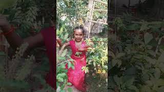 song dance thithi thara thithai thithom thagathimithom WhatsApp song dance ❣️💗💗💗 [upl. by Winters147]