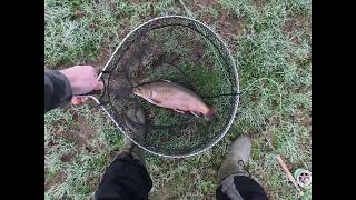 78 Another Great Days Fishing at Rockbourne Trout Fishery [upl. by Aznofla101]