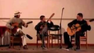 MUSICA ANDINA COLOMBIANA RAUL ARIZA HIJO El Tureño torbellino Eugenio Ariza [upl. by Cristen]