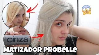 RESENHA MATIZADOR DA PROBELLE Cinza MEU CABELO MUDOU 😱 [upl. by Cosme303]