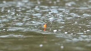 Spring Steelhead CREEK BOBBER DOWNS Underwater Footage [upl. by Llemert]