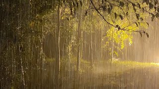 Pluie et Orage pour Dormir Profondément en moins de 5 Minutes [upl. by Naihtniroc]