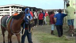 RISING SUNARIMA PARK West Coast BerbiceGuyana Horse Racing [upl. by Nauqes942]