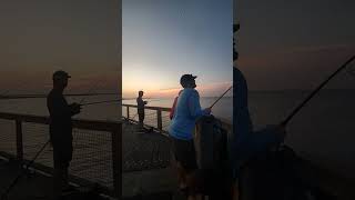 Live Navarre Beach Fishing Pier July 1st 2024 [upl. by Ninnetta]