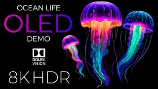 Ocean Life OLED Demo HDR 8K Ultra HD Dolby Vision™ 60fps [upl. by Lleuqar90]