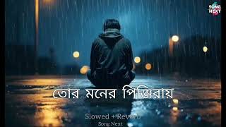 Tor Moner Pinjiray  Song Next Slowed And Reverb  BENGALI LOFI [upl. by Tavish531]