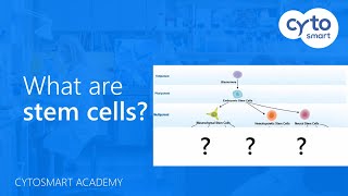 What are stem cells  CytoSMART Academy [upl. by Hillell]