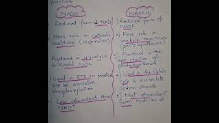 NADH Vs NADPH neet coenzymes [upl. by Adnohsal]