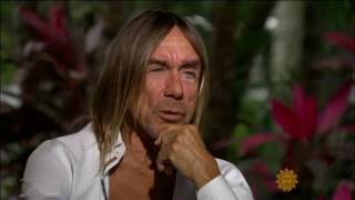 Iggy Pop  2017 Interview [upl. by Atews21]