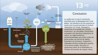 Le cycle du soufre en agriculture [upl. by Maximilien343]