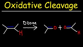 Oxidative Cleavage of Alkenes  KMnO4 and Ozonolysis [upl. by Gearard]