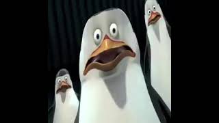 Los pingüinos de madagascar4 [upl. by Fulcher]