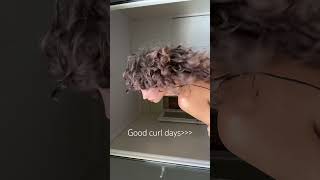 Ανεβασα curly hair routine…just saying [upl. by Brink]