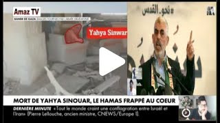 IsraëlYahya Sinouar  Vidéo de sa liquidation filmée par un Drone Militaire quelles Conséquences [upl. by Nylesoj]