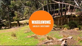 Warrawong Wildlife Sanctuary [upl. by Ornstead461]