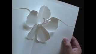 SCRAPBOOKING HIBISCUS Kirigami Popup Card [upl. by Lynnelle]