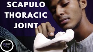 SCAPULO THORACIC JOINT SHOULDER JOINT COMPLEX BIOMECHANICSPhysiotherapy Tutorials [upl. by Corydon]