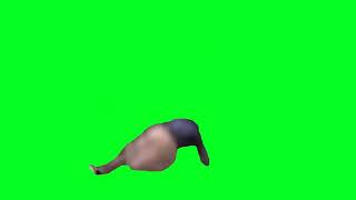 Gibby Falling From The Ceiling Green Screen Meme Template [upl. by Ytissac751]