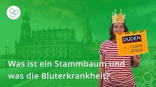 Stammbaum Was ist das und was ist die Bluterkrankheit – Biologie  Duden Learnattack [upl. by Enelrats671]