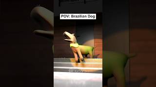 POV Normal Dog Vs Brazilian Dog [upl. by Bitthia]