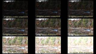 D7100 and D7000Exposure Compensation [upl. by Bigler]