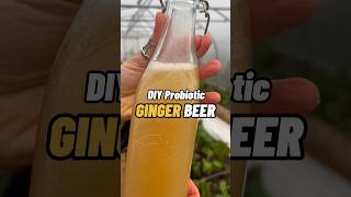 DIY Fermented Ginger Beer using a Ginger Bug 🫚🥃 gingerbeer fermentation homemadesoda [upl. by Petronille]